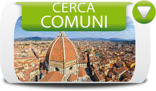 Elenco Comuni in Provincia di Napoli